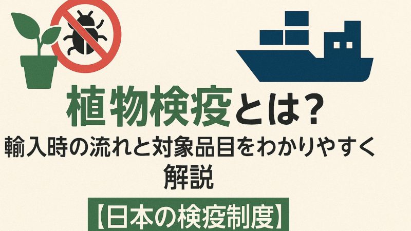 植物検疫とは？輸入時の流れと対象品目をわかりやすく解説【日本の検疫制度】